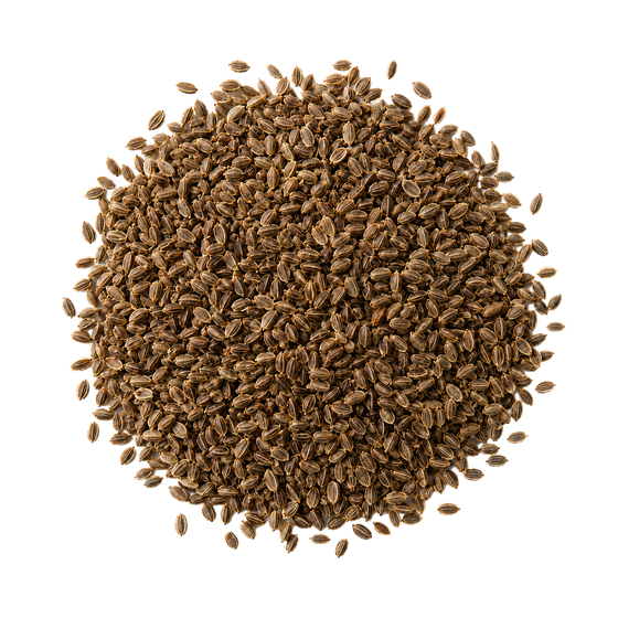 A pile of non-GMO herb seeds
